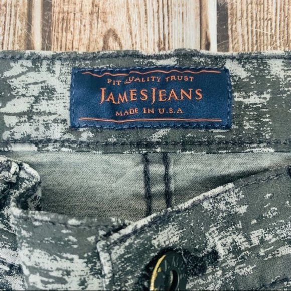 JAMES Jeans Antique Web Twiggy Pants Size 27 - Picture 8 of 8